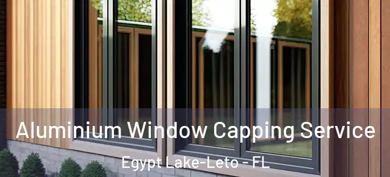  Aluminium Window Capping Service Egypt Lake-Leto - FL