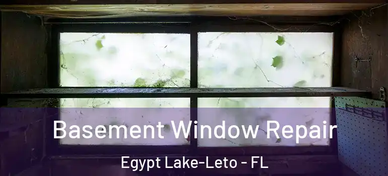  Basement Window Repair Egypt Lake-Leto - FL