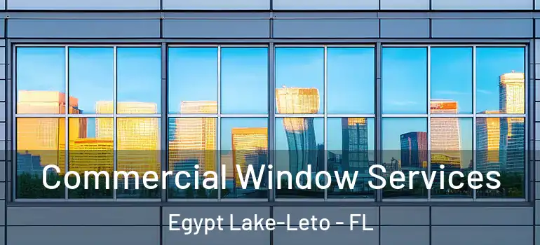  Commercial Window Services Egypt Lake-Leto - FL