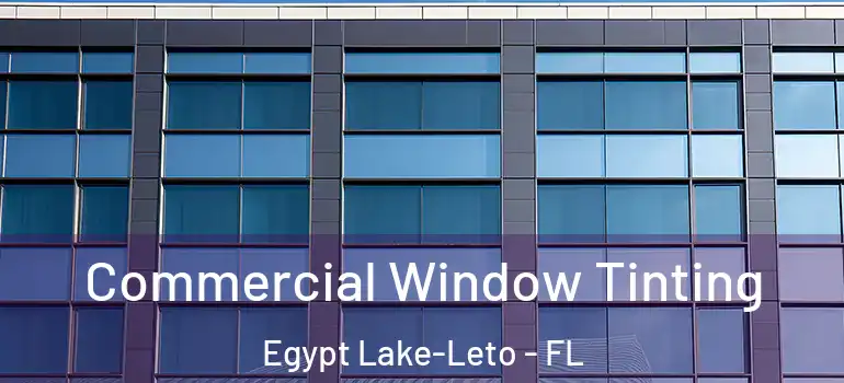  Commercial Window Tinting Egypt Lake-Leto - FL