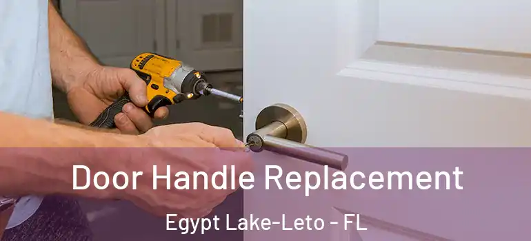  Door Handle Replacement Egypt Lake-Leto - FL