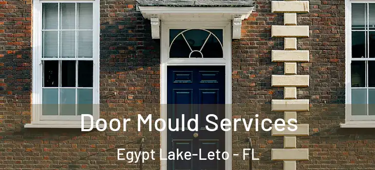  Door Mould Services Egypt Lake-Leto - FL