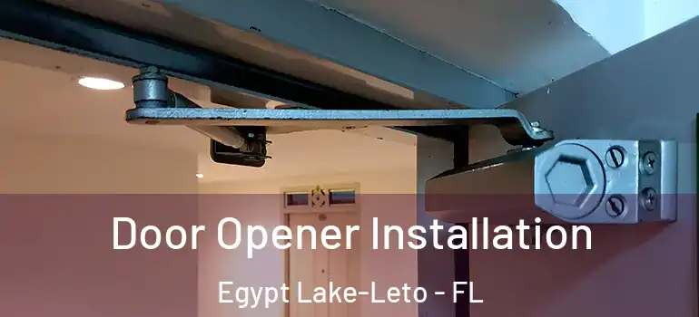  Door Opener Installation Egypt Lake-Leto - FL