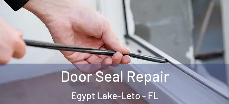  Door Seal Repair Egypt Lake-Leto - FL