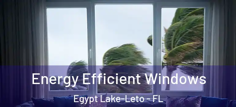  Energy Efficient Windows Egypt Lake-Leto - FL