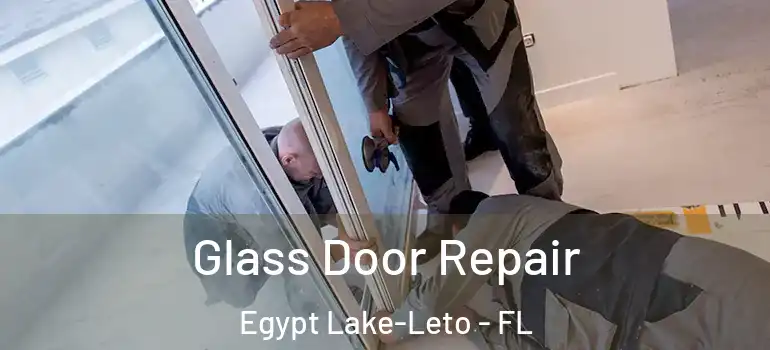  Glass Door Repair Egypt Lake-Leto - FL