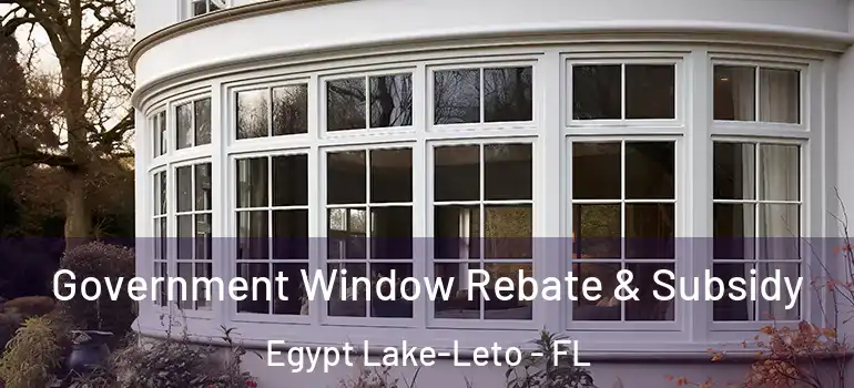  Government Window Rebate & Subsidy Egypt Lake-Leto - FL