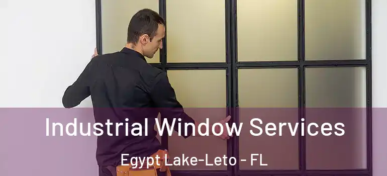  Industrial Window Services Egypt Lake-Leto - FL