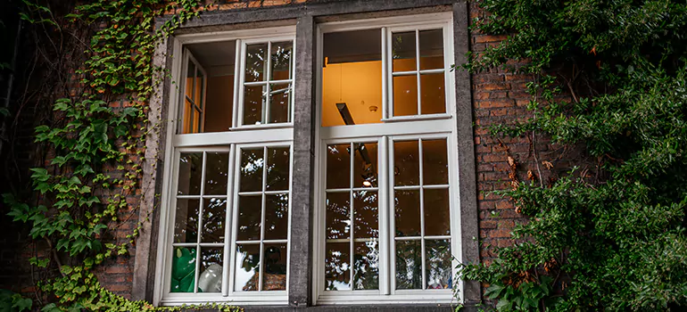 Energy Efficient Wood Windows in Egypt Lake-Leto, FL