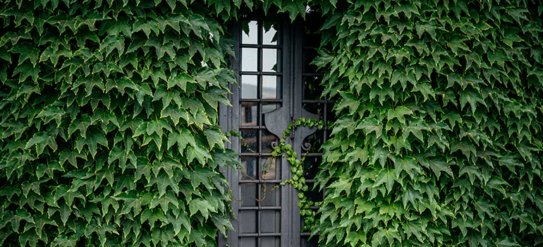Garden Gate Repair in Egypt Lake-Leto, FL