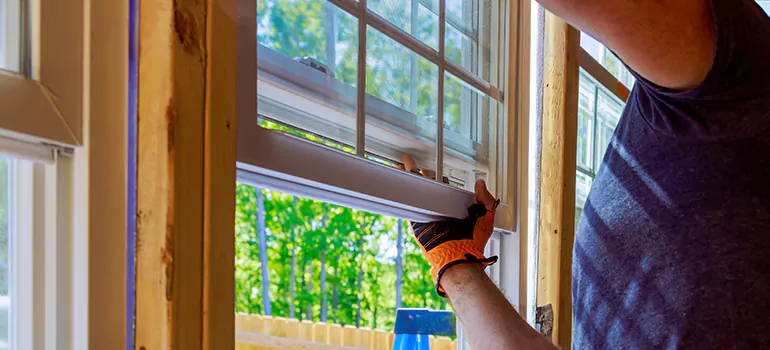 Decorative Window Film Services in Egypt Lake-Leto, FL