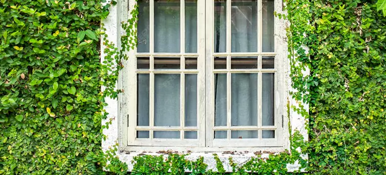 Garden Window Repair Near Me in Egypt Lake-Leto, FL