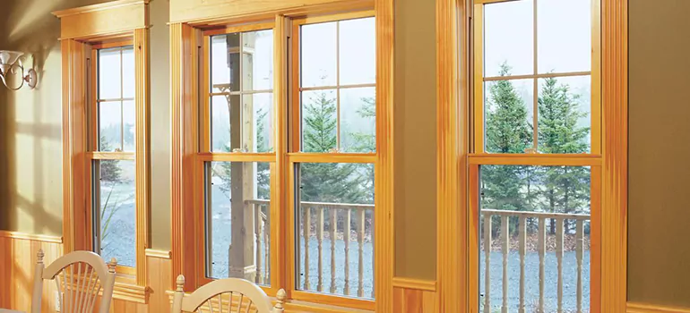 Government Incentives For Replacement Windows in Egypt Lake-Leto, FL