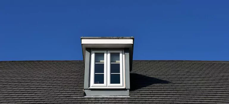 Roof Window Installation in Egypt Lake-Leto, FL