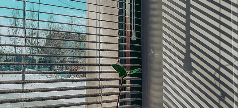 Commercial Window Blinds in Egypt Lake-Leto, FL