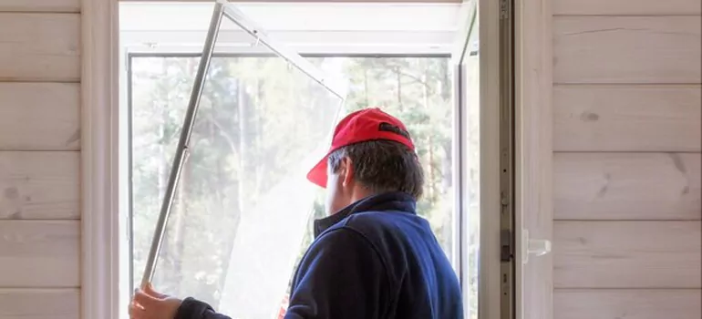 Expandable Window Screen Installation in Egypt Lake-Leto, FL