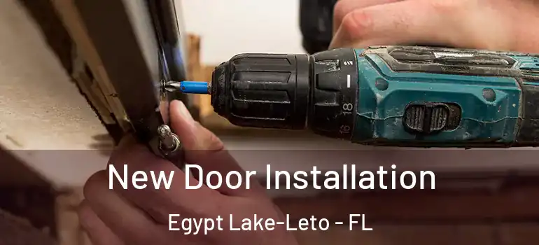  New Door Installation Egypt Lake-Leto - FL