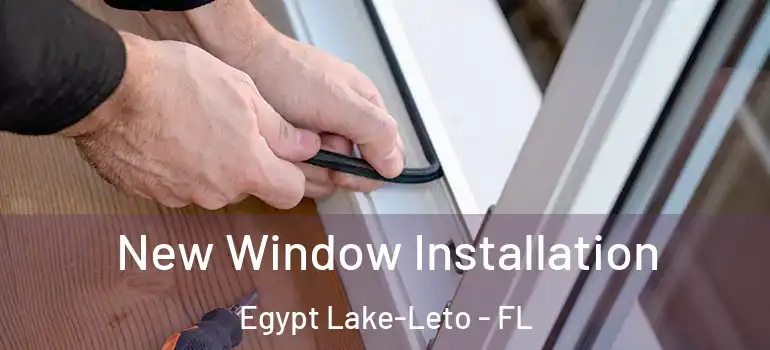  New Window Installation Egypt Lake-Leto - FL