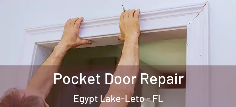  Pocket Door Repair Egypt Lake-Leto - FL