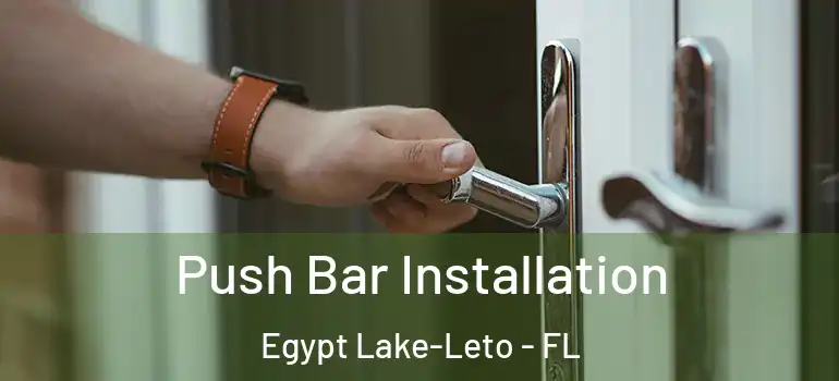  Push Bar Installation Egypt Lake-Leto - FL