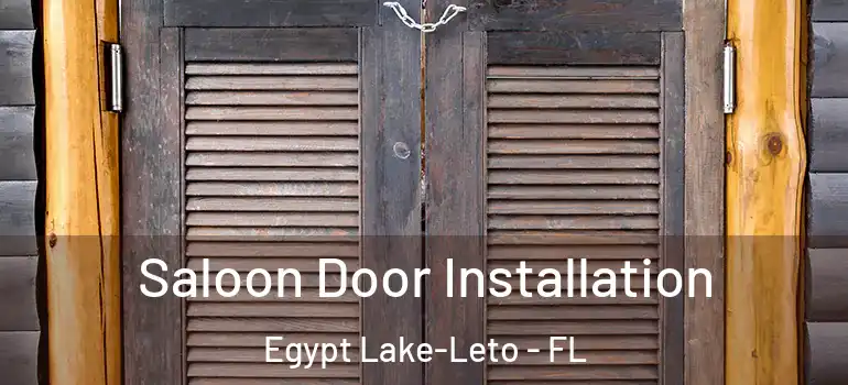  Saloon Door Installation Egypt Lake-Leto - FL