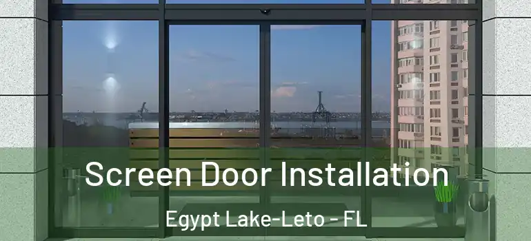  Screen Door Installation Egypt Lake-Leto - FL