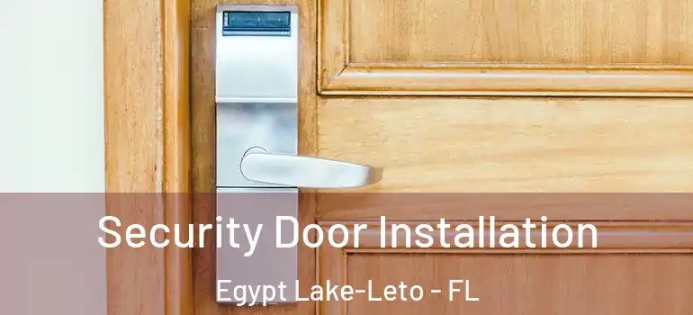  Security Door Installation Egypt Lake-Leto - FL