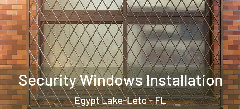  Security Windows Installation Egypt Lake-Leto - FL