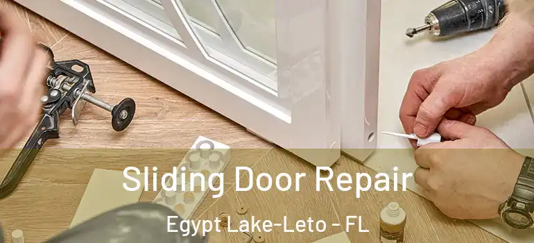  Sliding Door Repair Egypt Lake-Leto - FL