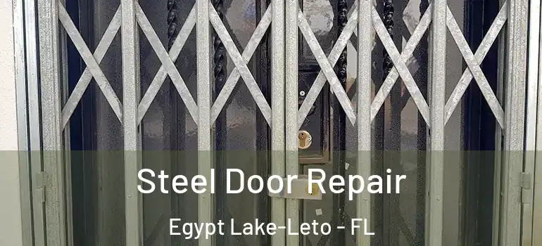  Steel Door Repair Egypt Lake-Leto - FL