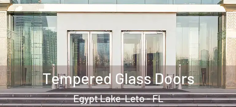  Tempered Glass Doors Egypt Lake-Leto - FL