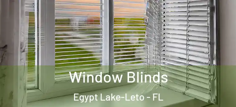  Window Blinds Egypt Lake-Leto - FL