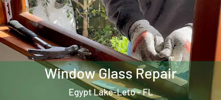  Window Glass Repair Egypt Lake-Leto - FL