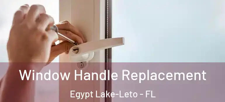  Window Handle Replacement Egypt Lake-Leto - FL