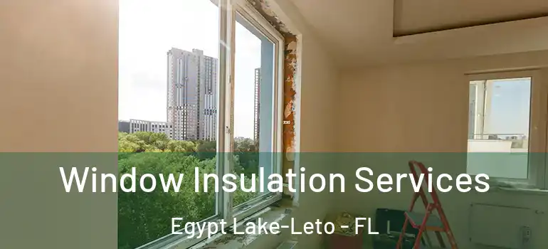  Window Insulation Services Egypt Lake-Leto - FL