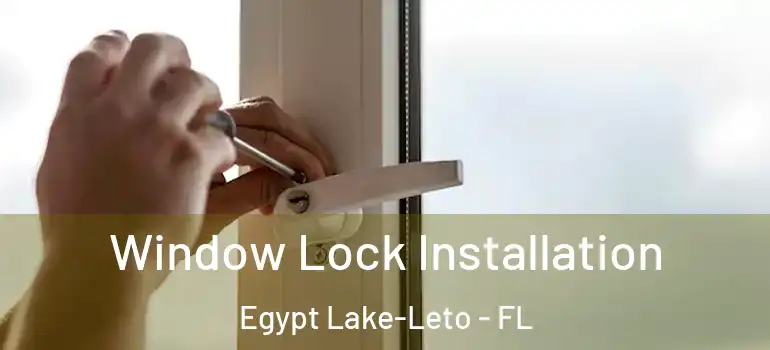  Window Lock Installation Egypt Lake-Leto - FL