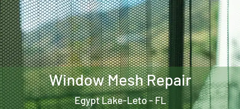  Window Mesh Repair Egypt Lake-Leto - FL
