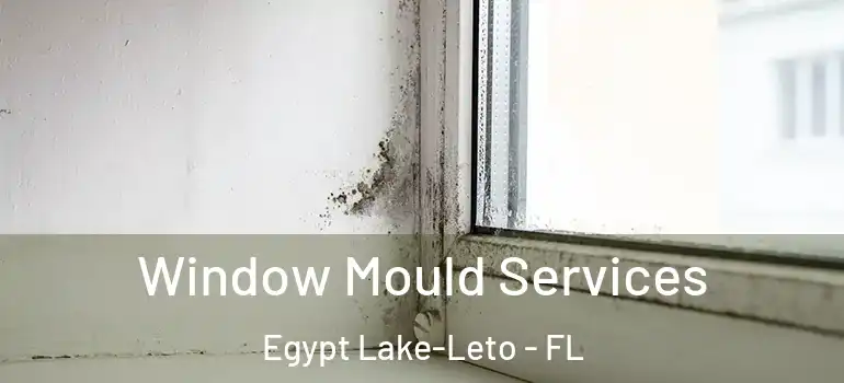  Window Mould Services Egypt Lake-Leto - FL