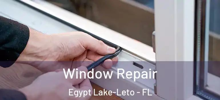  Window Repair Egypt Lake-Leto - FL