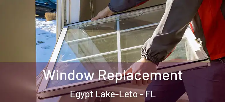  Window Replacement Egypt Lake-Leto - FL