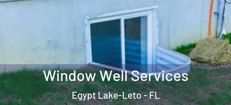  Window Well Services Egypt Lake-Leto - FL