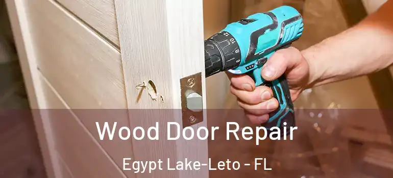  Wood Door Repair Egypt Lake-Leto - FL
